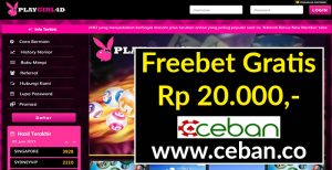 PLAYGIRLD4D – FREEBET GRATIS TANPA DEPOSIT RP 20.000